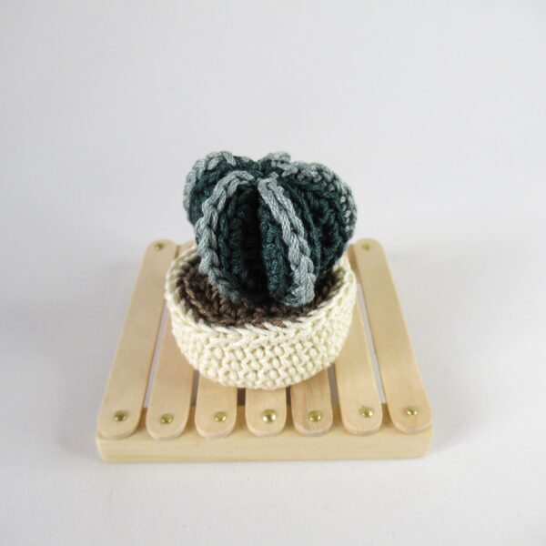 Astrophytum Amigurumi
