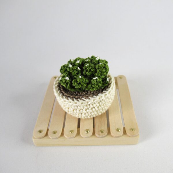 Crassula Amigurumi