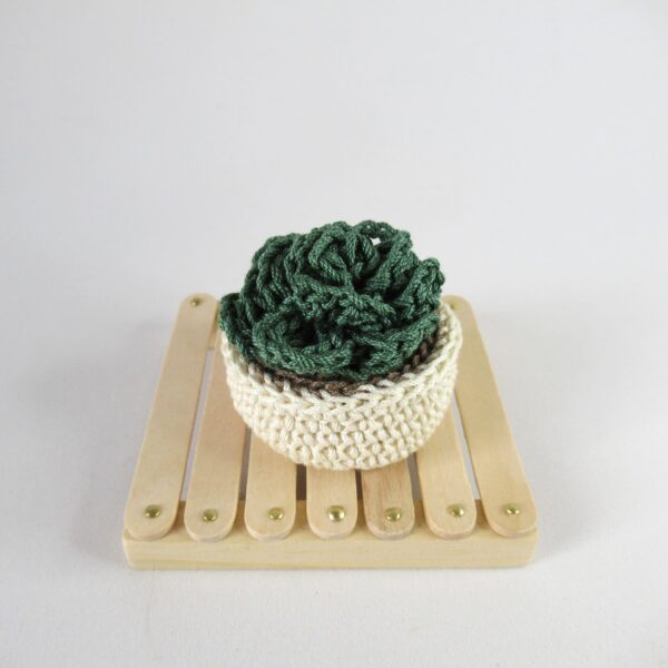 Echeveria Amigurumi