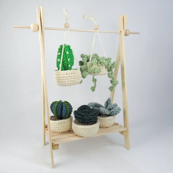 ASTROPHYTUM AMIGURUMI - immagine 5