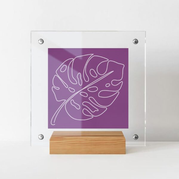 quadretto monstera