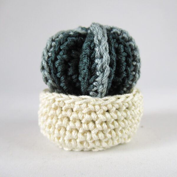 ASTROPHYTUM AMIGURUMI - immagine 2