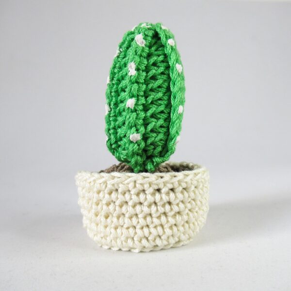 CACTUS AMIGURUMI - immagine 2