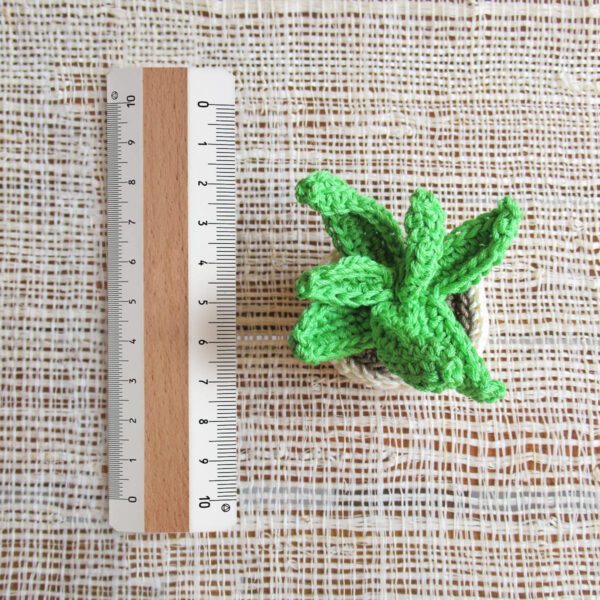 AGAVE AMIGURUMI - immagine 4