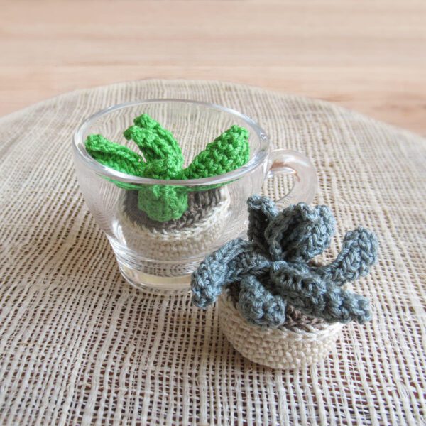 AGAVE AMIGURUMI - immagine 3