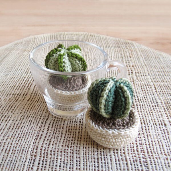 ASTROPHYTUM AMIGURUMI - immagine 3