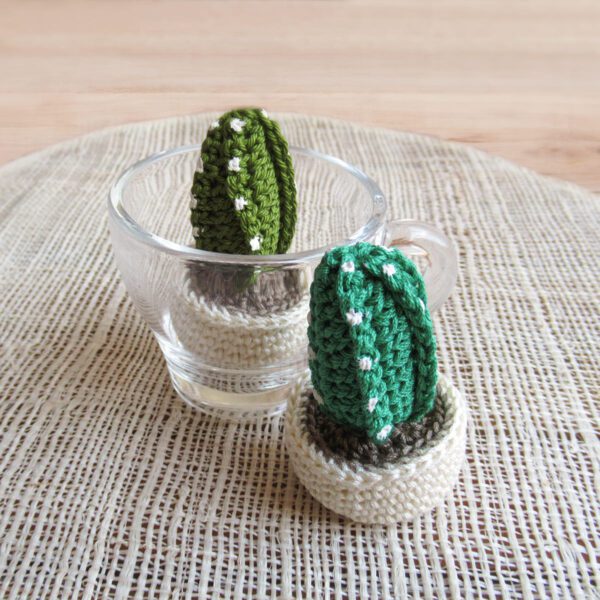 CACTUS AMIGURUMI - immagine 3