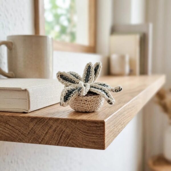 CHLOROPHYTUM AMIGURUMI